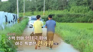 [하모니] 추석 특집 수박 엄마 황티쿡 씨의 아주 특별한 한가위 - 2부 / 연합뉴스TV (YonhapnewsTV)