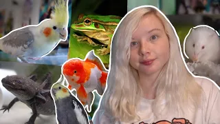 FEEDING ALL MY PETS IN ONE VIDEO!