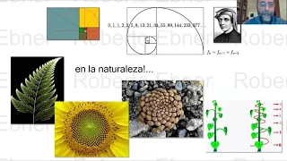La sucesión Fibonacci: Viaje matemático de la Oftalmología. Dr Roberto Ebner. Argentina