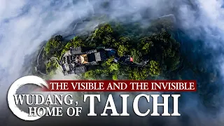 The Visible and the Invisible「Wudang，Home of Tai Chi」 | China Documentary