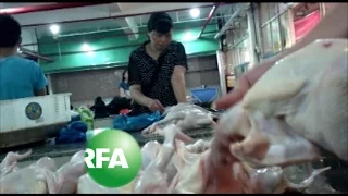 Dead Meat: How Carcasses from Diseased Poultry Enter China’s Food Chain