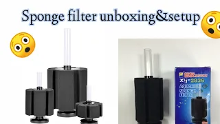 Sponge filter unboxing and setup #spongefilter for aquariums