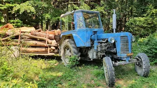 Zetor 25A odvoz dřeva z lesa 1080p 60fps