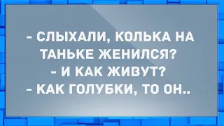 - Слыхали, Колька на Таньке женился? Сборник Свежих Анекдотов! Юмор!