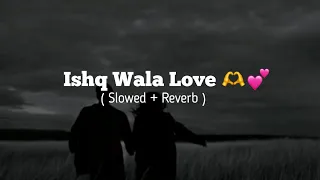 Ishq Wala Love ( Slowed + Reverb )🌚🫶💗