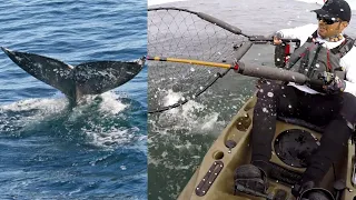 Stalking WHALES for a Hot Salmon Bite!