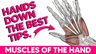 Hand Muscles│Anatomy Tips, Tricks and Mnemonics