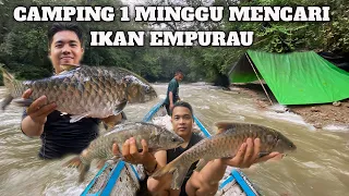 Camping Fishing 1 Minggu Sungai Banjir hujan deras Dapat Ikan Empurau Masak dan Makan di Hutan