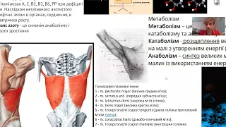 Крок 2021