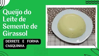 Queijo Vegano Feito com o Leite da Semente de Girassol - Que derrete e forma casqunha