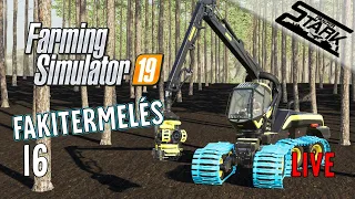 Farming Simulator 19 - 16.Rész (Kezdődhet a Fakitermelés) - Stark LIVE