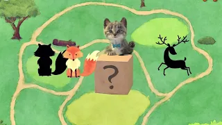 Cute Kitten Little Cat Adventure - Play Fun Pet Care - Preschool Educational Games #678