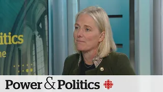 Liberals better explain benefits of carbon tax, says former environment minister | Power & Politics