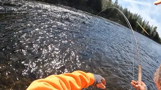 Early Spring Nymphing for Brooktrout