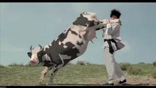 Kung pow Enter The fist Вот это каратэ