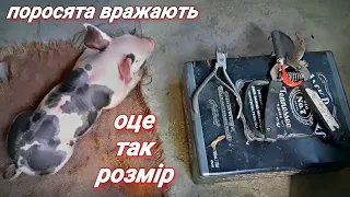 Перший раз і УСПІХ