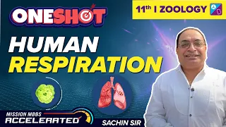 Breathing & Exchange of Gases Class 11 Biology -  Human Respiration | NEET 2023 Exam | Sachin Sir