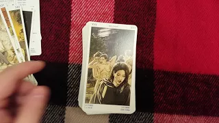 Tarot Deck Flip Through ~ Pagan Tarot