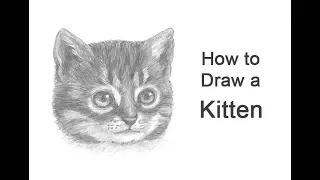 How to Draw a Kitten (Head Detail)
