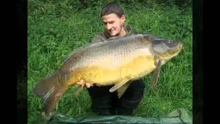 WILD CARP TOUR 2011