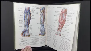 Netter - The CIBA Collection of Medical Illustrations Vol. 8 - Part 1 Musculoskeletal System