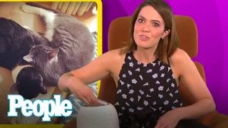 Mandy Moore Is A Crazy Cat Lady | People