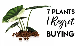 I PAID £600 FOR A VIRUS! | 7 Houseplants I Regret Buying!