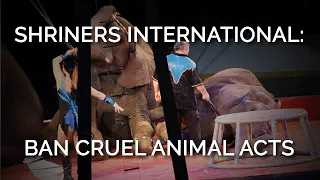 Shriners International: Ban Cruel Animal Acts