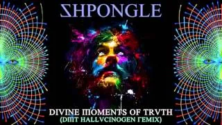 Shpongle - Divine Moments of Truth (Instrumental Remix) ·2000·