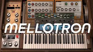 RICH BEAUTIFUL MELLOTRON TAPE ORGAN FROM SAMPLETRON