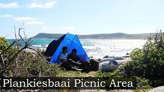 West Coast National Park (South Africa)