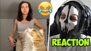 Moji lacht sich den A*sch ab😂 Reaktion auf unusual Memes v186