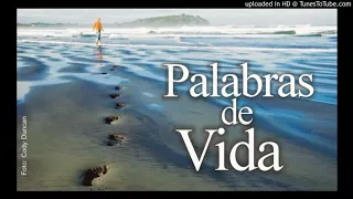 PALABRAS DE VIDA - KAMIKAZE x EMANUEL