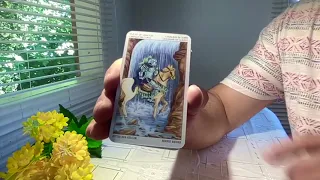 LEO 22 AL 31 DE ENERO 2024 ::: HOROSCOPO DE HOY TAROT