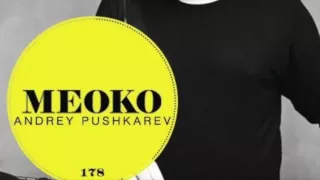 Andrey Pushkarev - Exclusive MEOKO Podcast #178