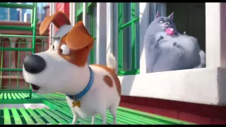 THE SECRET LIFE OF PETS - Official Trailer #4 (2016) HD