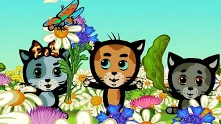 Котяткины друзья все серии (Сборник 1) | мультфильмы для детей про котят