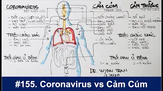 #155. Phân biệt giữa Coronavirus, cảm cúm, và cảm thường