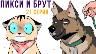 Пикси и Брут. 21 серия. Комиксы | Мемозг 1084