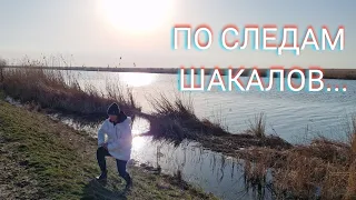 Одесская область. ОТ СЕЛА ДАЛЕКО. ВОКРУГ НИКОГО... Нужно успеть до темноты!