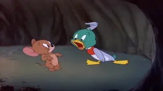 tom and jerry full episodes  The Duck Doctor Part 1