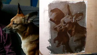 Cute Pet Portrait in Oils – Getting Started