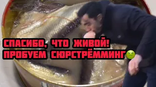 ПРОБУЕМ СЮРСТРЁММИНГ | КВАШЕННАЯ (ТУХЛАЯ) СЕЛЕДКА | SURSTRÖMMING