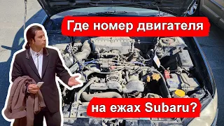 Где найти номер двигателя у моторов Subaru EJ203, EJ202, EJ152 и т.п.