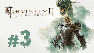 Прохождение Divinity II: Ego Draconis - Часть 3 (Мелкие квесты)