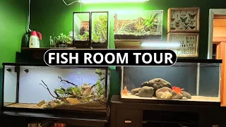 Fish Room Tour!
