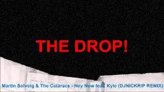 Martin Solveig & The Cataracs - Hey Now feat. Kyle (DJNICKRIP REMIX)