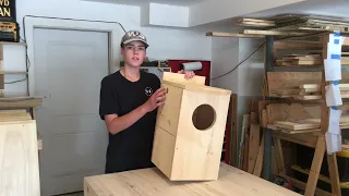 How to make an owl house the right way