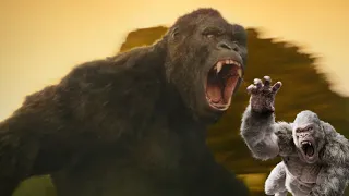 Kong vs. George