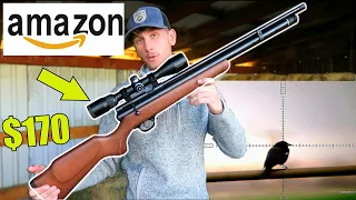 HUNTING With The CHEAPEST PCP AIRGUN on AMAZON *SCOPE CAM*